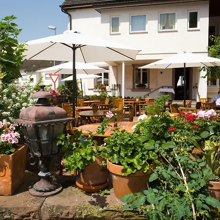 Hotel Hirsch 3*