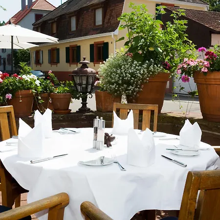 Hotel Hirsch Kehl