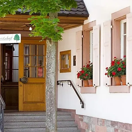 Hotel Hirsch 3*
