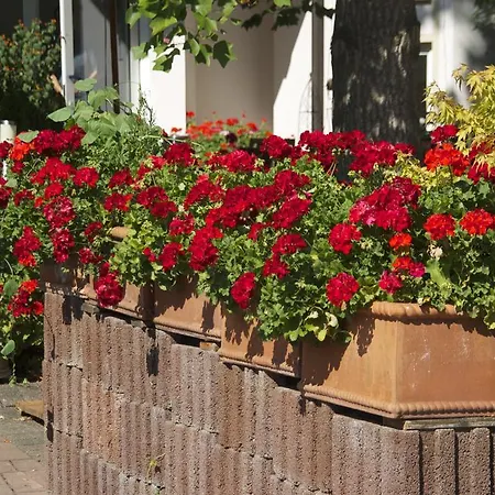 Hotel Hirsch 3*