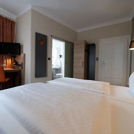 Hotel Hirsch 3*